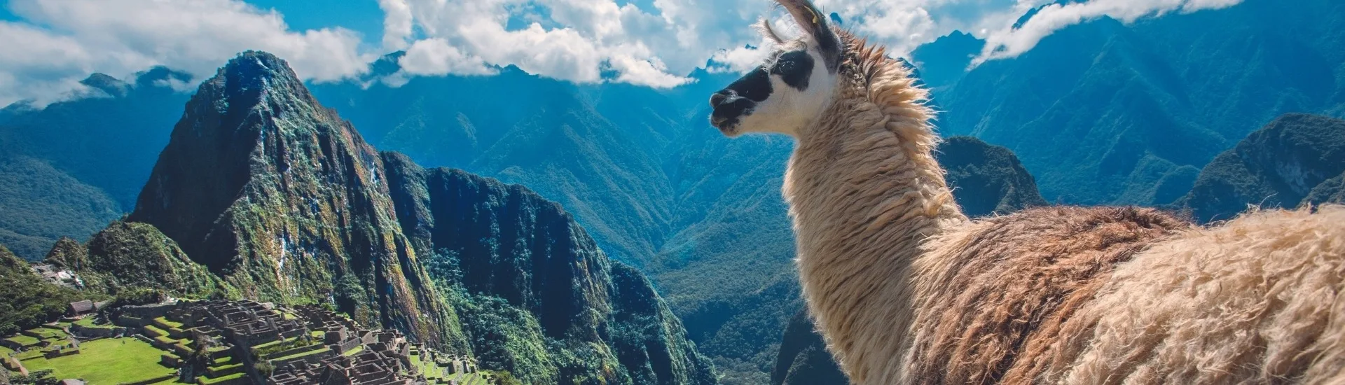 Peru Express