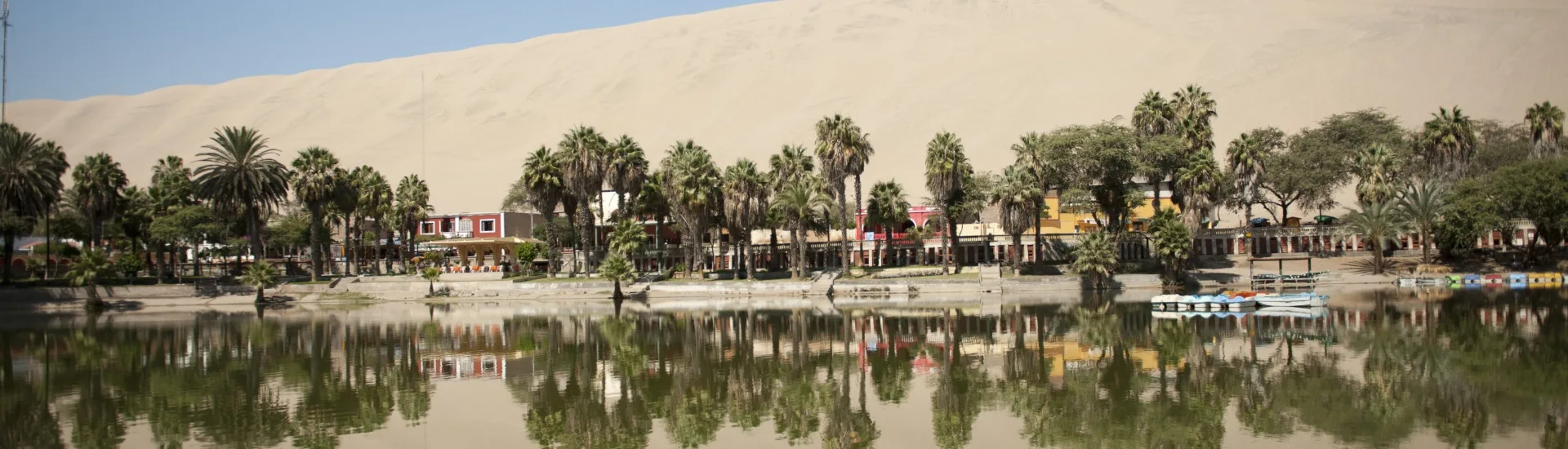 Excursão de 2 dias a Paracas e Huacachina