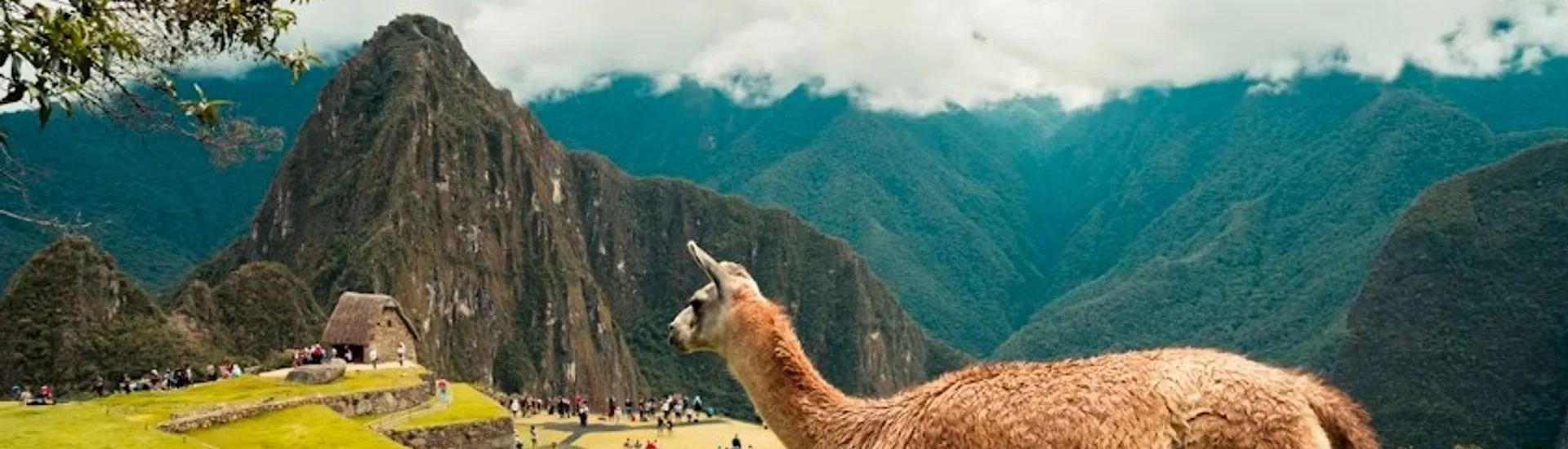 Machu Picchu, Lima e Cusco
